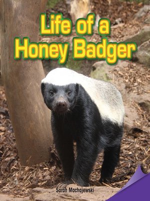 cover image of Life of a Honey Badger